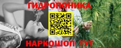 каннабис Кингисепп