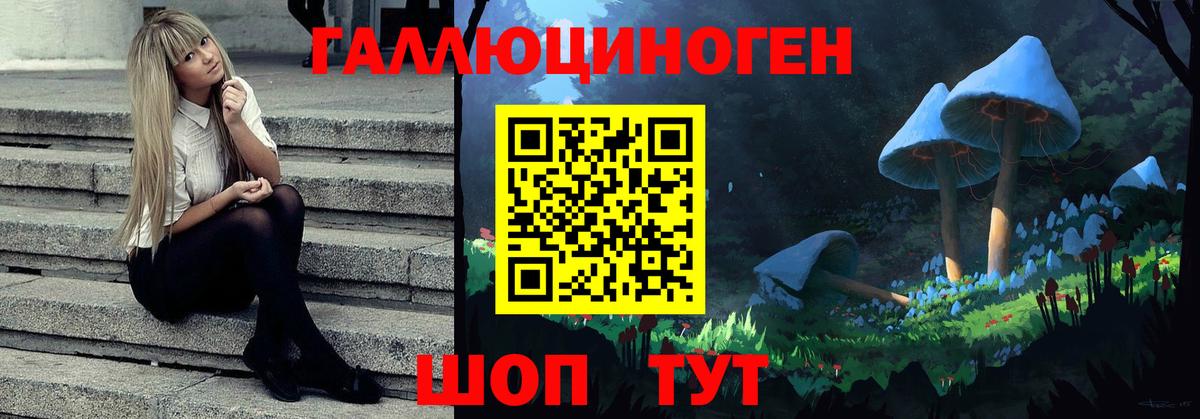 Галлюциногенные грибы Psilocybine cubensis  Галлюциногенные грибы прущие грибы  Прокопьевск 