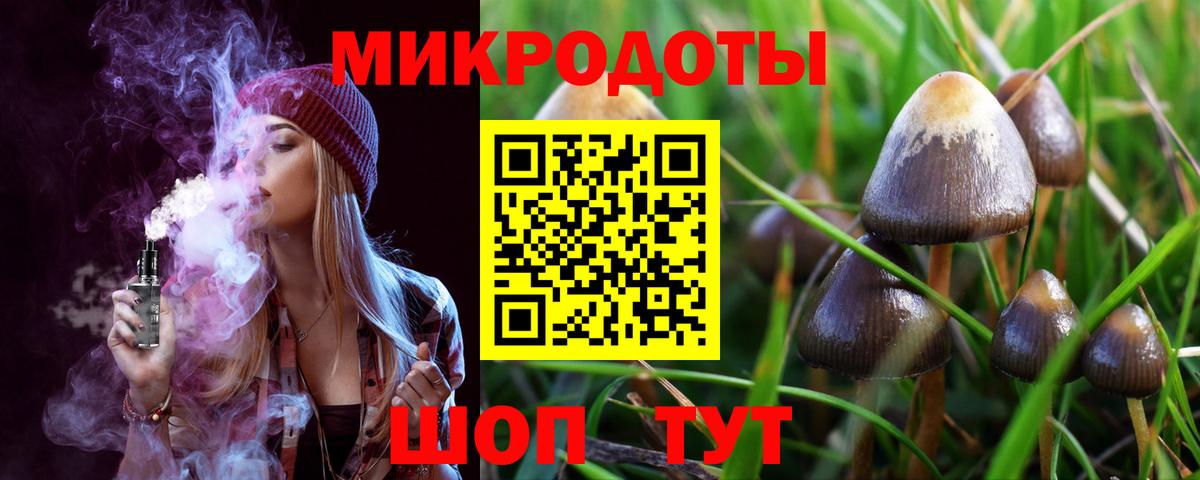 Прокопьевск  Псилоцибиновые грибы MAGIC MUSHROOMS  Вход с VPN  магазин продажи   Псилоцибиновые грибы Psilocybine cubensis 