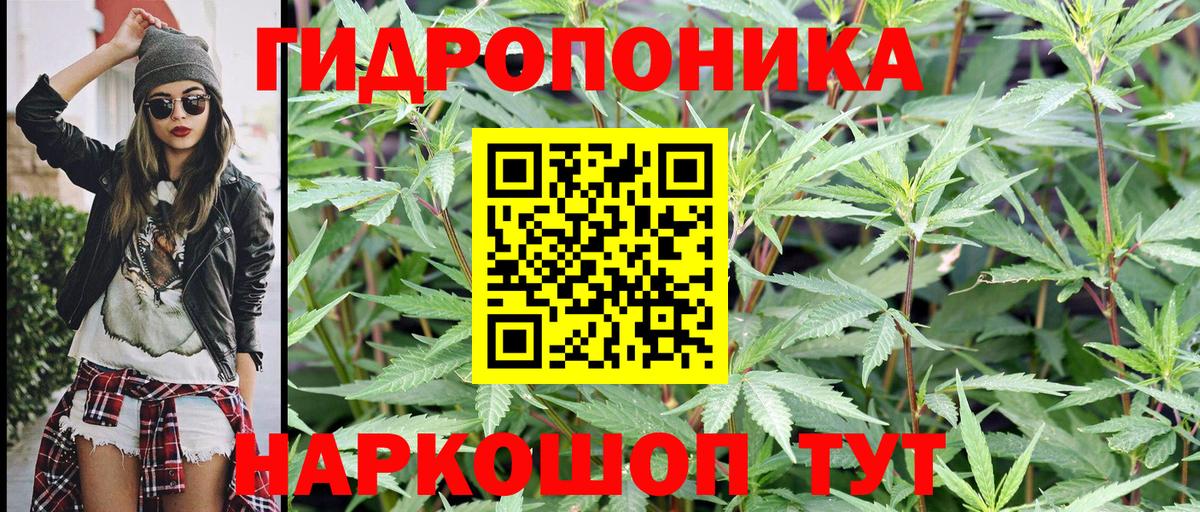 Бошки Шишки VHQ Прокопьевск